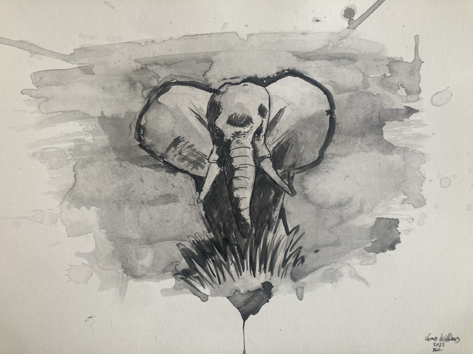 Ink and wash painting of an elephant emerging from loose grey washes, with grass in the foreground