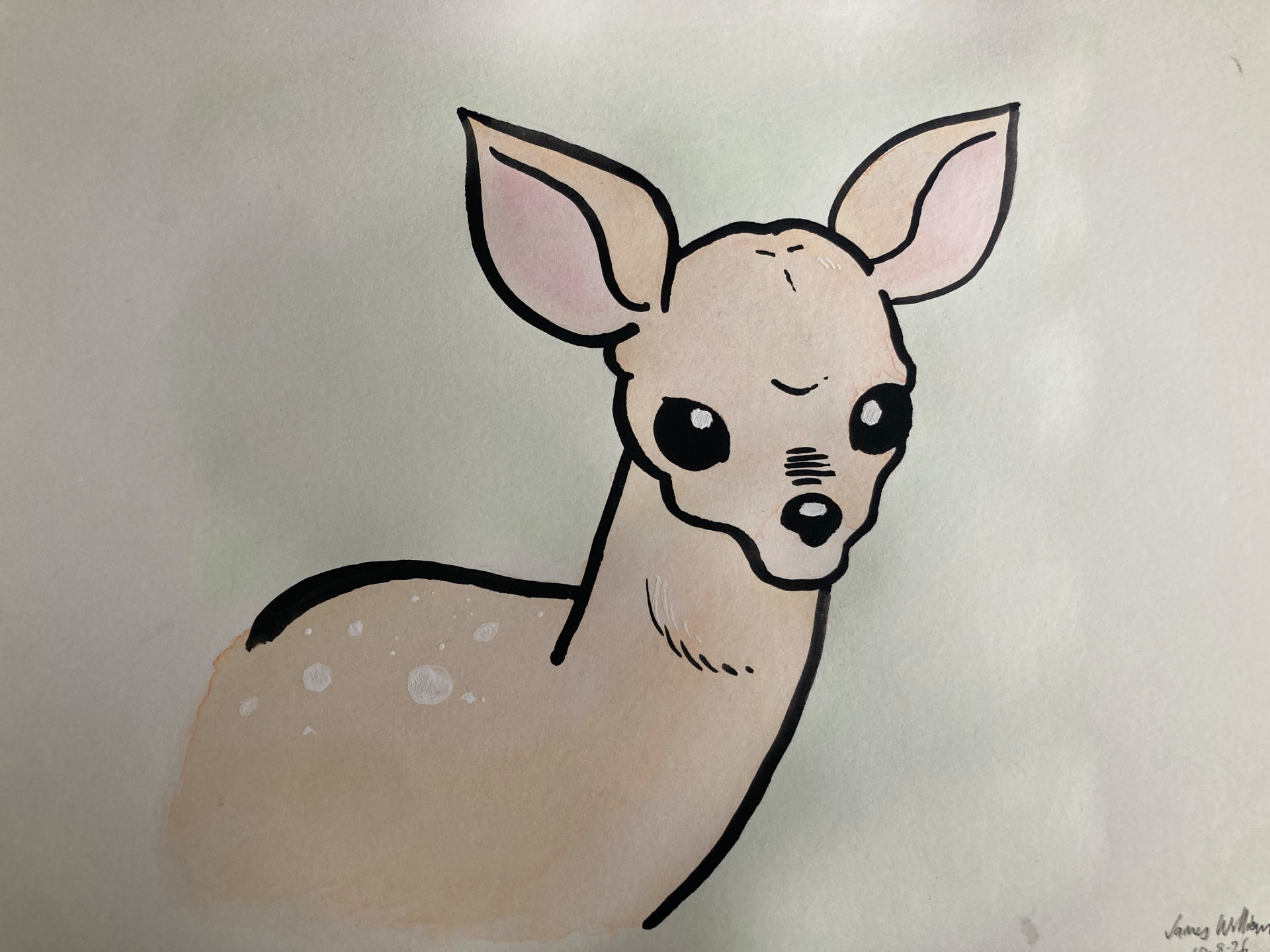 Watercolour and ink illustration of a wide-eyed fawn with large ears